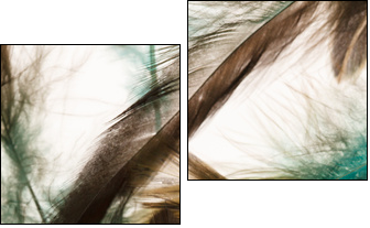 Color feathers  - Obraz dwuczęściowy, Dyptyk