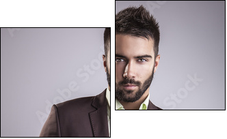 Elegant young handsome man. Studio fashion portrait.  - Obraz dwuczęściowy, Dyptyk