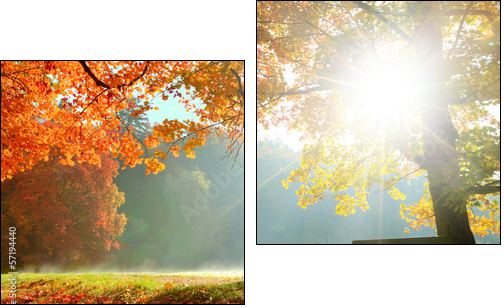 Autumn landscape   - Obraz dwuczęściowy, Dyptyk