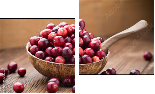 Cranberries.  - Obraz dwuczęściowy, Dyptyk
