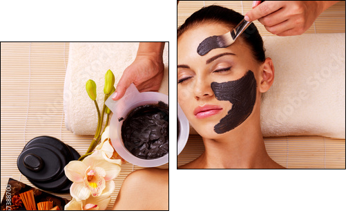 Cosmetologist smears cosmetic mask on the face of  woman  - Obraz dwuczęściowy, Dyptyk