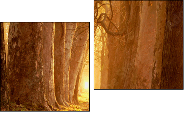 Ciepła jesień – leśna droga
 - Obraz dwuczęściowy, Dyptyk