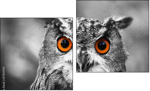 leuchtende Augen - Uhu  - Obraz dwuczęściowy, Dyptyk