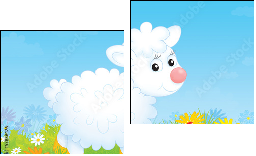 Little white sheep walking on a flowery meadow  - Obraz dwuczęściowy, Dyptyk
