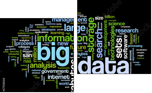 Big data concept in word cloud  - Obraz dwuczęściowy, Dyptyk