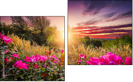 Backyard Sunrise  - Obraz dwuczęściowy, Dyptyk