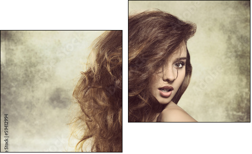 sexy lady with bushy hair  - Obraz dwuczęściowy, Dyptyk