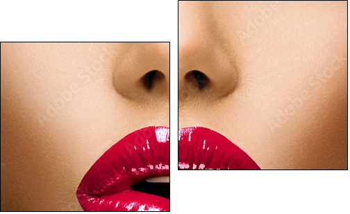 Sexy Lips. Beautiful Make-up Closeup. Kiss  - Obraz dwuczęściowy, Dyptyk