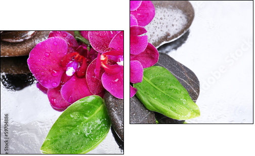 Composition with beautiful blooming orchid with water drops and  - Obraz dwuczęściowy, Dyptyk
