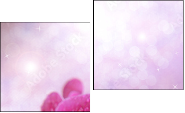 Beautiful blooming orchid  on light color background  - Obraz dwuczęściowy, Dyptyk