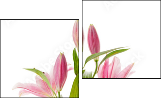 Dostojna różowa lilia - Obraz dwuczęściowy, Dyptyk