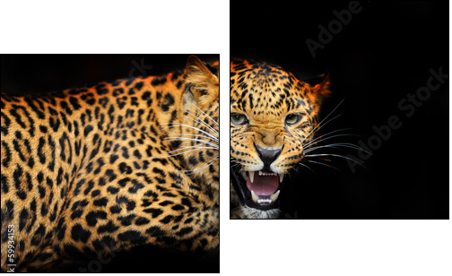 Portrait of leopard in its natural habitat  - Obraz dwuczęściowy, Dyptyk