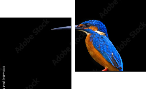 Kingfisher  - Obraz dwuczęściowy, Dyptyk