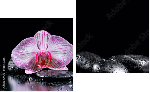 Orchid flower with zen stones on black background  - Obraz dwuczęściowy, Dyptyk