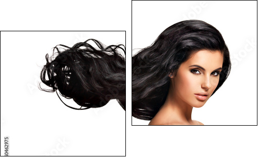 Beautiful brunette woman with long black  hair  - Obraz dwuczęściowy, Dyptyk