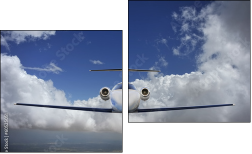 Executive in flight  - Obraz dwuczęściowy, Dyptyk