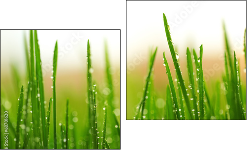 Green wet grass with dew on a blades  - Obraz dwuczęściowy, Dyptyk