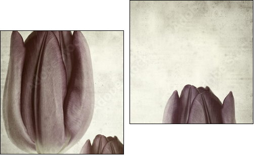 textured old paper background  - Obraz dwuczęściowy, Dyptyk