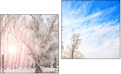 Winter time with river, trees and bright sun on a side  - Obraz dwuczęściowy, Dyptyk