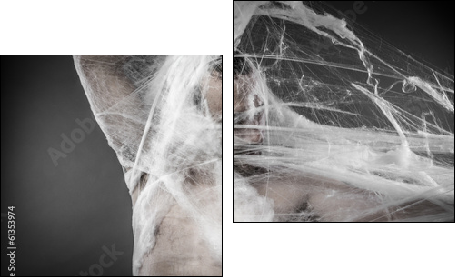 Trap.man tangled in huge white spider web  - Obraz dwuczęściowy, Dyptyk