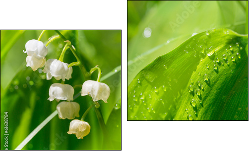 Lilly of the valley  - Obraz dwuczęściowy, Dyptyk