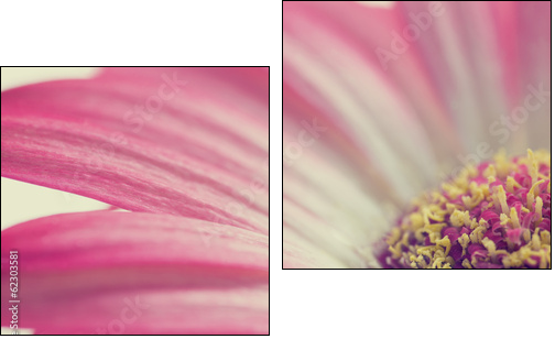 Macro of a pink summer daisy  - Obraz dwuczęściowy, Dyptyk