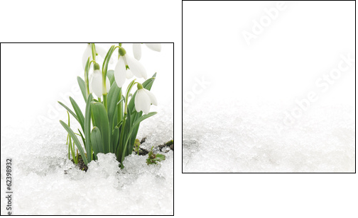 Snowdrops and Snow - Obraz dwuczęściowy, Dyptyk