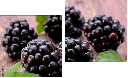 Balckberry fruit closeup  - Obraz dwuczęściowy, Dyptyk