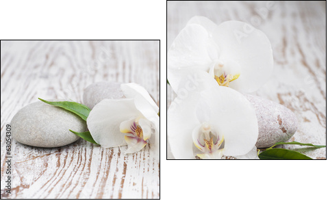 Orchids spa - Obraz dwuczęściowy, Dyptyk