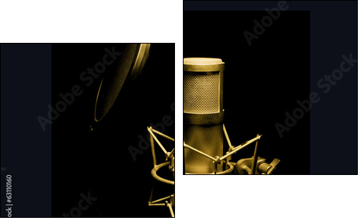 golden microphone isolated on black background  - Obraz dwuczęściowy, Dyptyk