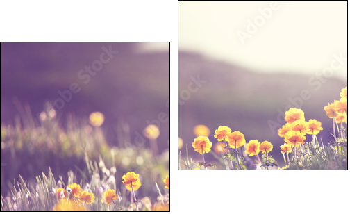 Sunny meadow  - Obraz dwuczęściowy, Dyptyk