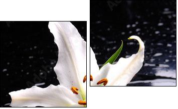 Macro of white lily with therapy stones  - Obraz dwuczęściowy, Dyptyk