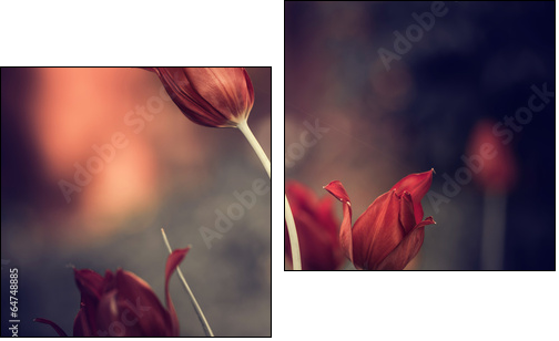 red garden tulips  - Obraz dwuczęściowy, Dyptyk