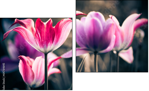 fresh spring garden flowers  - Obraz dwuczęściowy, Dyptyk