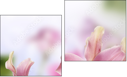 Lily.Flower card  - Obraz dwuczęściowy, Dyptyk