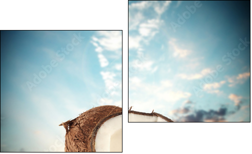 coconuts  - Obraz dwuczęściowy, Dyptyk