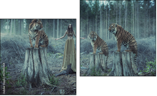 Attractive female trainer with the tigers  - Obraz dwuczęściowy, Dyptyk