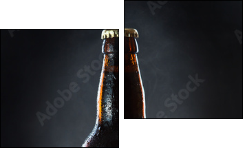 frozen  beer bottle  - Obraz dwuczęściowy, Dyptyk