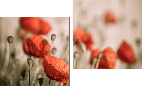 red poppy  - Obraz dwuczęściowy, Dyptyk