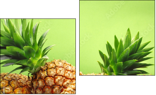 tropical pineapples  - Obraz dwuczęściowy, Dyptyk