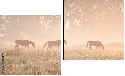 horses in sunshine and fog  - Obraz dwuczęściowy, Dyptyk