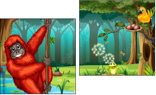 Orangutan in jungle  - Obraz dwuczęściowy, Dyptyk