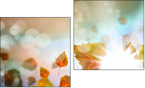 Autumn leaves  - Obraz dwuczęściowy, Dyptyk