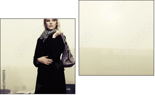 Young fashion woman with handbag on the foggy city street  - Obraz dwuczęściowy, Dyptyk