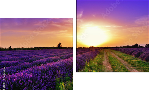 Lavender field  - Obraz dwuczęściowy, Dyptyk