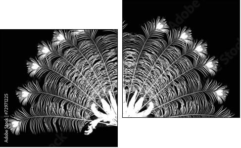 Monochromatyczny paw - Obraz dwuczęściowy, Dyptyk