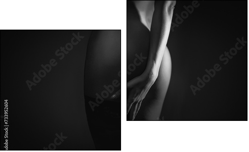 Light art on a woman's slender naked body. Buttocks. - Obraz dwuczęściowy, Dyptyk