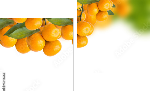 tangerine trees  - Obraz dwuczęściowy, Dyptyk