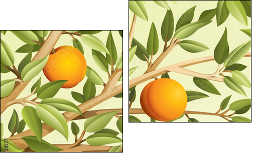 Peaches  - Obraz dwuczęściowy, Dyptyk