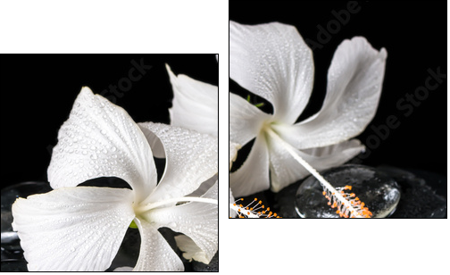 Beautiful cryogenic spa concept of delicate white hibiscus, zen  - Obraz dwuczęściowy, Dyptyk